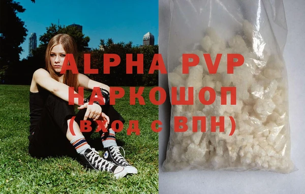 гидра Алексин