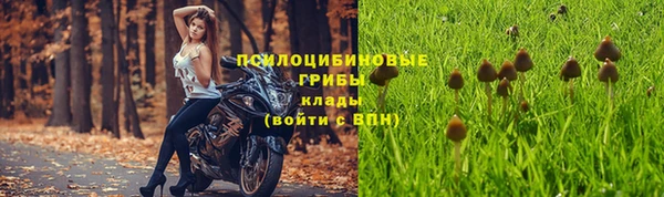 гидра Алексин