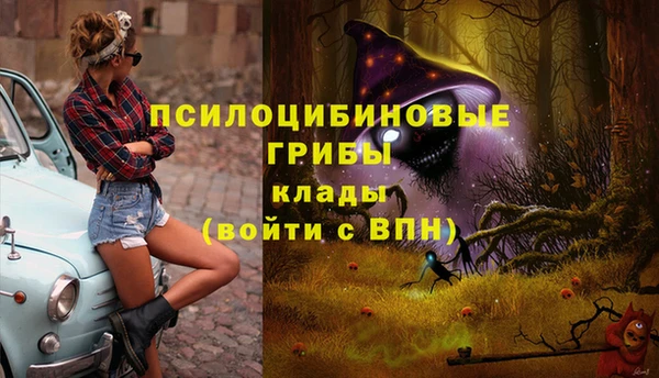 амфетамин Алексеевка
